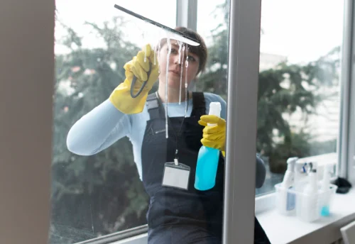 Nettoyage de vitres intérieures et extérieures à Germigny-l'Exempt